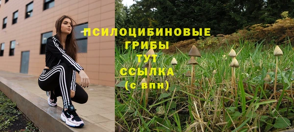 сатива Богородицк