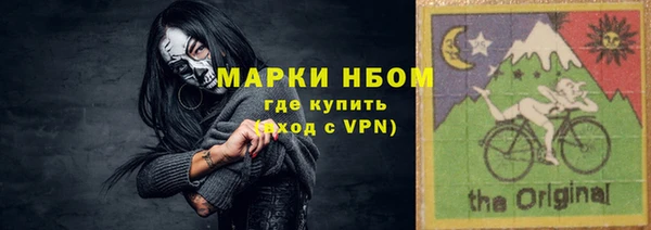 шишки Беломорск