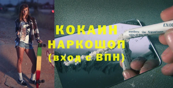 шишки Беломорск