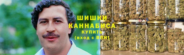 метадон Богданович