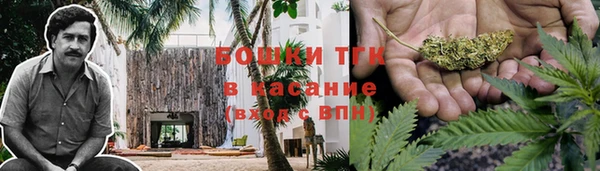 ешки Белокуриха