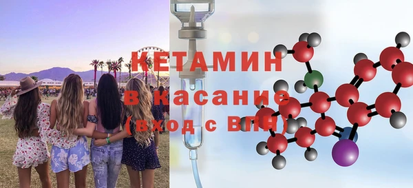 шишки Беломорск