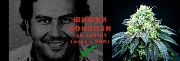 ешки Белокуриха