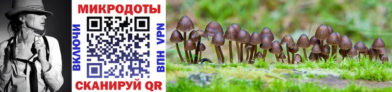 купить наркотик  Кинешма  Псилоцибиновые грибы прущие грибы 